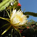 Calaca Вилла *