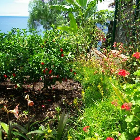 Vila Calaca *
