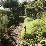 Calaca *