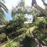 Calaca *