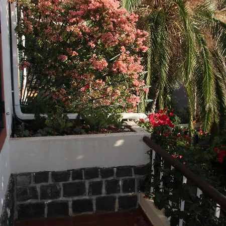 Calaca Funchal (Madeira)