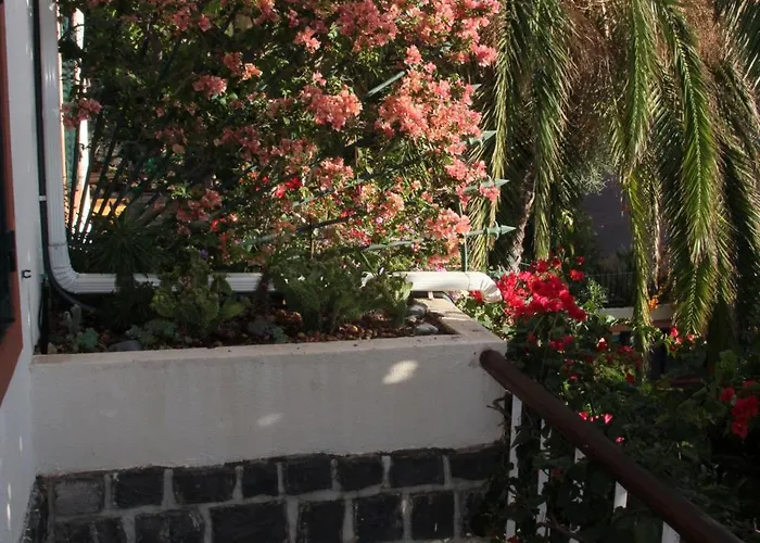 Calaca Funchal (Madeira)