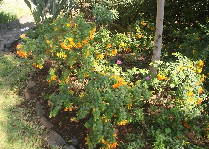 Calaça * Funchal (Madeira)