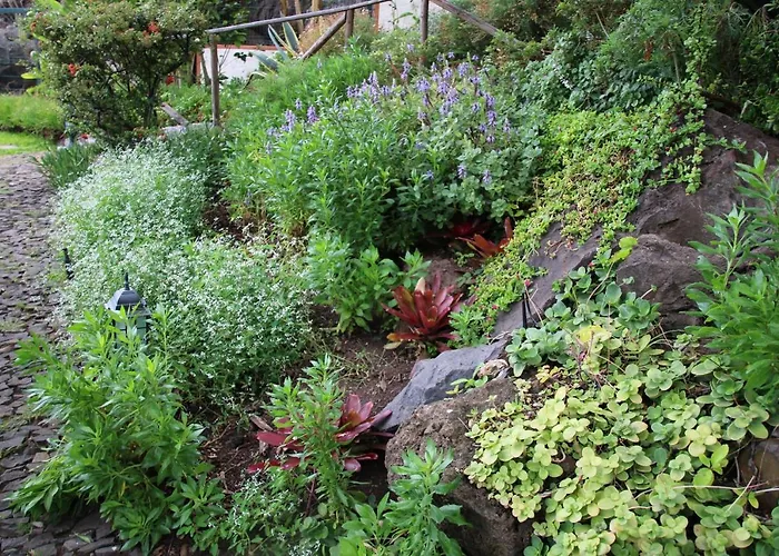 Calaça Funchal (Madeira)
